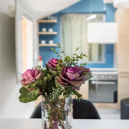 Urbanicooh Azzoguidi - Torre Asinelli View Bolonia